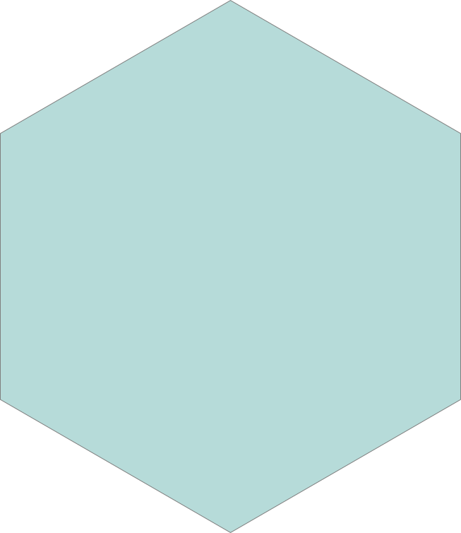 Polygone 2