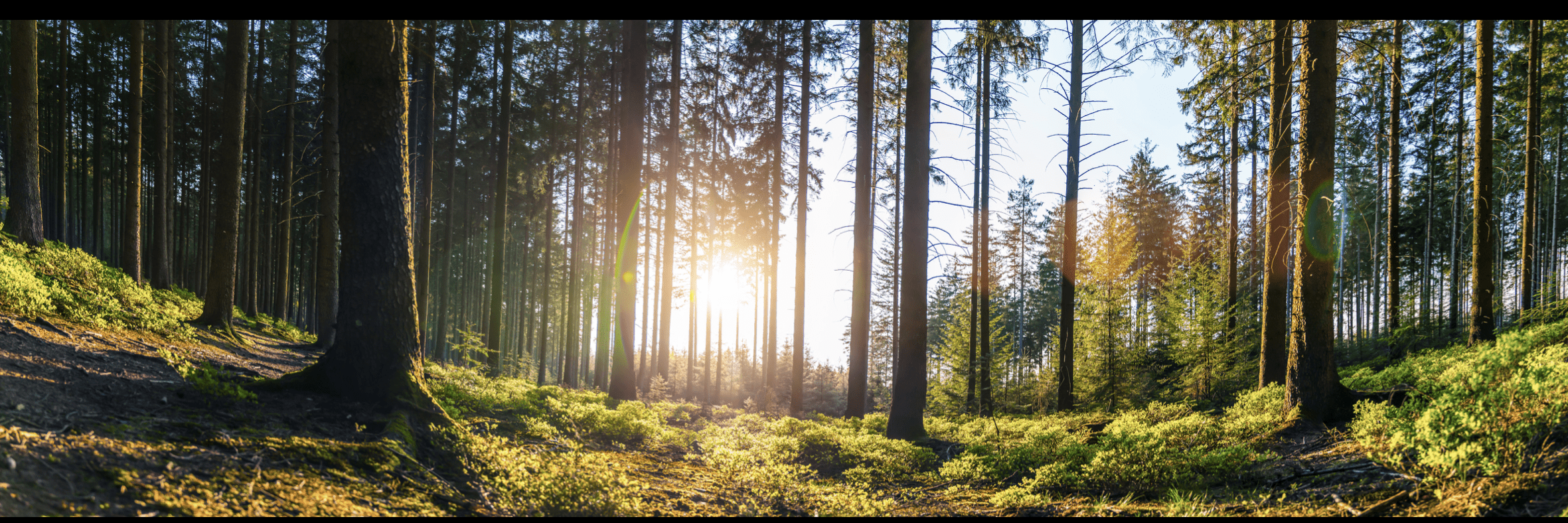 parallax background